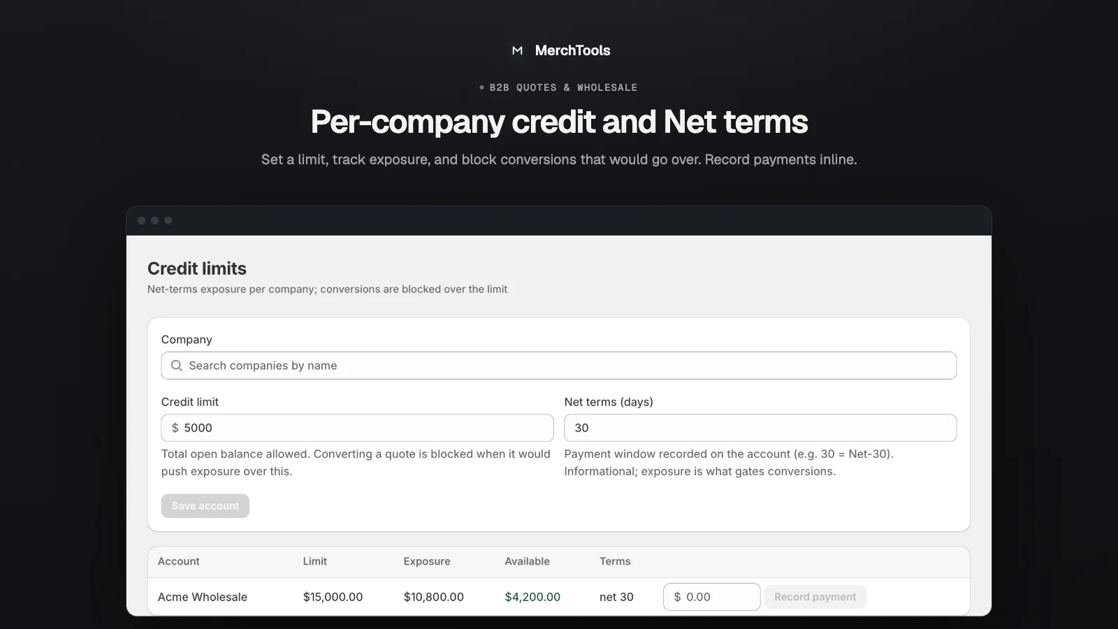 Company credit account with limit, exposure and ledger